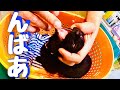 【ライブ配信中子猫にトラブル発覚！深刻な病気になる前に病院でみてもらったら…】@taipi 【切り抜き】