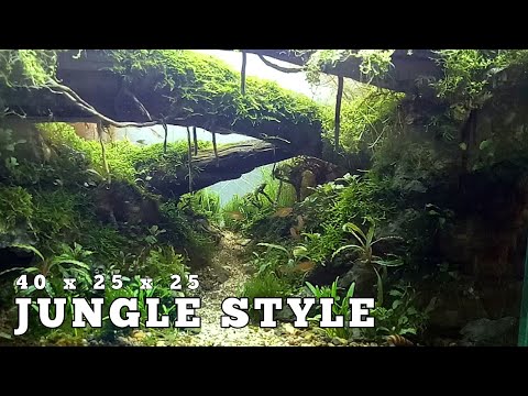 Aquascape Tema Jungle