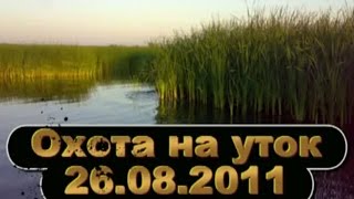 Hunting for ducks. Охота на уток, броды с собаками, затем вечерка. Hunting for ducks. Охота на уток, броды с собаками, затем вечерка.