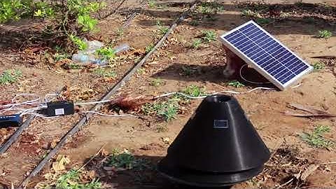 Red Palm Weevil Detection and Tracking System