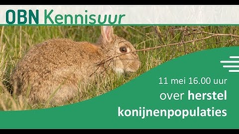 Opname OBN Kennisuur Herstel konijnenpopulaties, op donderdag 11 mei 2023