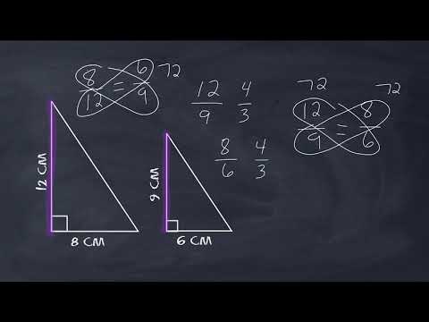 Identify Similar Shapes