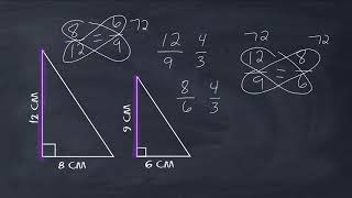 Identify Similar Shapes screenshot 5
