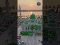 Mai ishq da banda tu ishq da malik #yaallah #yarasoolallahﷺ #dua #viral