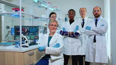 Multiethnic Team of Experienced Scientists Looking at Camera | Stock Footage - Envato elements