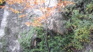 Paraje El Reventón - Caravaca de la Cruz - R. de Murcia - 3/11/2015 1