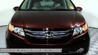 odyssey tampa fl honda