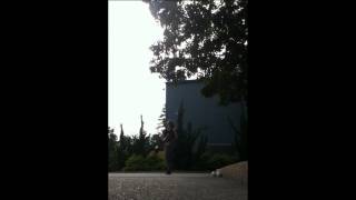 Trick of the Day - 6-11-2012.wmv