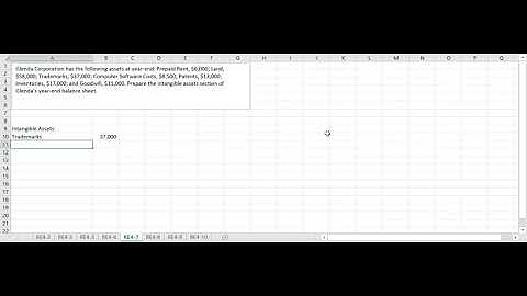 RE4-7   Intangible Assets section of the Balance Sheet
