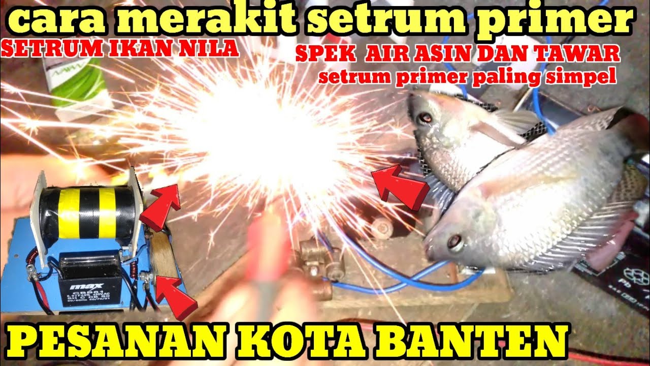 SETRUM IKAN NILA PRIMER PESANAN KOTA  BANTEN
