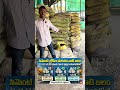 Cement # viral video # Building