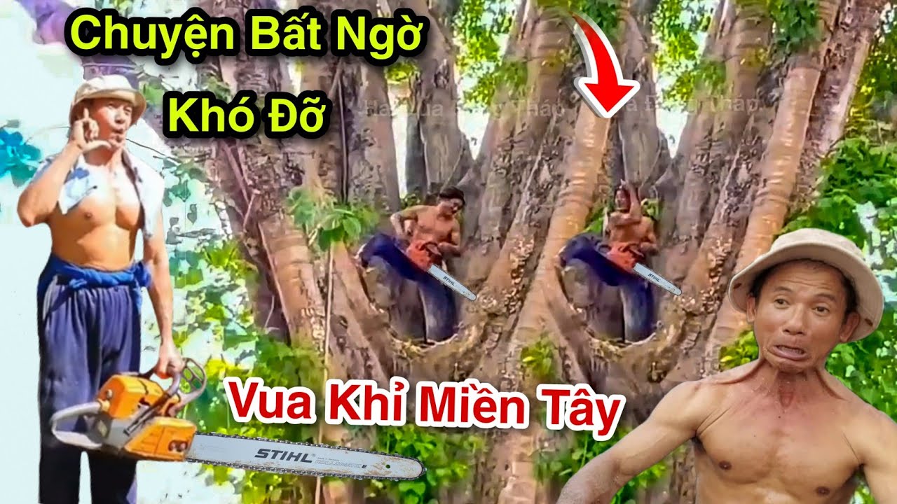 Sốc Cực Đỉnh Vua Khỉ Cưa Cây Bồ Đề Lão Tổ Linh Thiêng Rùm Rợn Khiến Nhiều Thợ Cưa Không Giám Cưa 3/8