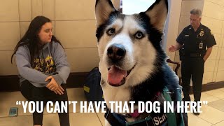 Issues while Traveling with a Service Dog W.19