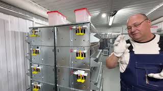 МИНИФЕРМА для перепелов на 140 голов с брудером