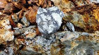 New Large Quartz Vein Found With Gold, Silver, Copper, Zinc!