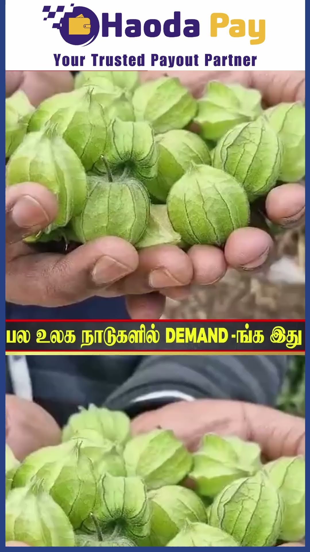 Omg ? 'இதுக்கு இப்படி ஒரு Demand-ஆ..' ? அதிர வைக்கும் தகவல் ..Viral Video