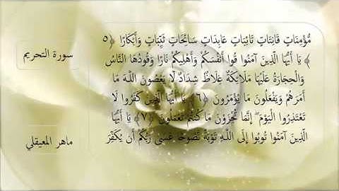 سورة التحريم كاملة مكتوبة - الشيخ ماهر المعيقلي