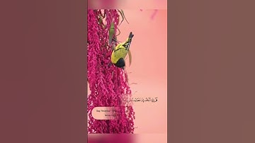 تلاوة هادئة تريح الأعصاب😴🎧 | القاريء محمد أيوب - سورة الأنعام ✨🌥️" #القرآن_الكريم #القرآن #islam