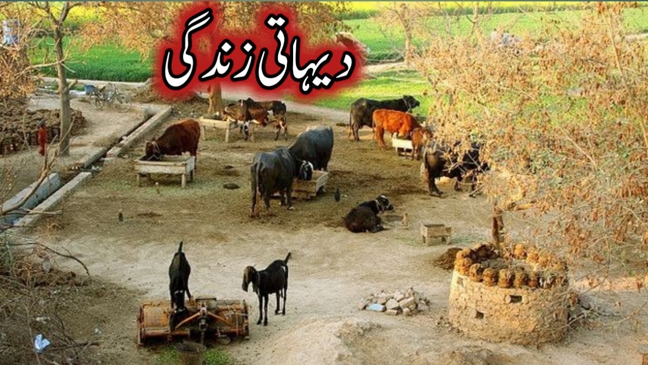 my village essay in urdu