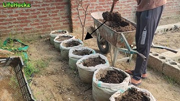 Soil mix for growing vegetables in containers