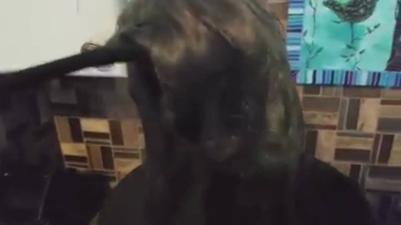 How to dye a wig (iDyePoly)【Cosplay Tutorial】 YouTube