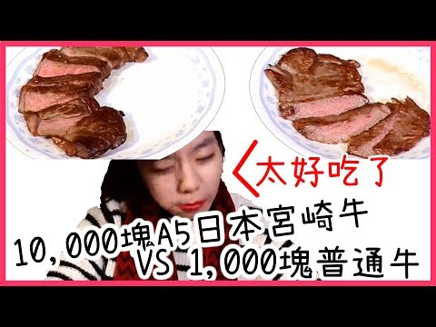 一萬元和牛 vs 一千元普牛哪一個好吃?!!!?｜【閲生活】