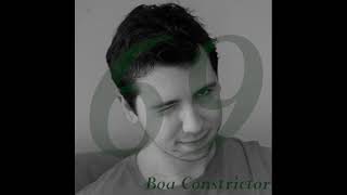Stephen Deeter - Boa Constrictor - The Magnetic Fields Cover
