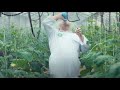 Greenhouse Movie trailer / Теплица трейлер