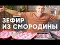 ЗЕФИР ИЗ ЧЁРНОЙ СМОРОДИНЫ - рецепт от шефа Бельковича | ПроСто кухня | YouTube-версия