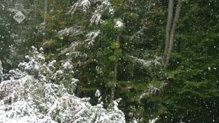 1 Hour Of Relaxing Snowfall  Sneeuwval  Winter  Asmr  Wetterburg Germany