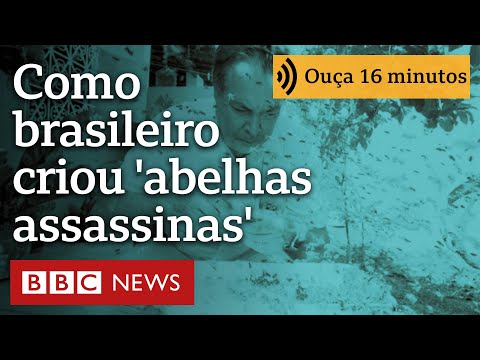 Brasileiro criador das 'abelhas assassinas' revolucionou a apicultura - Ecoa