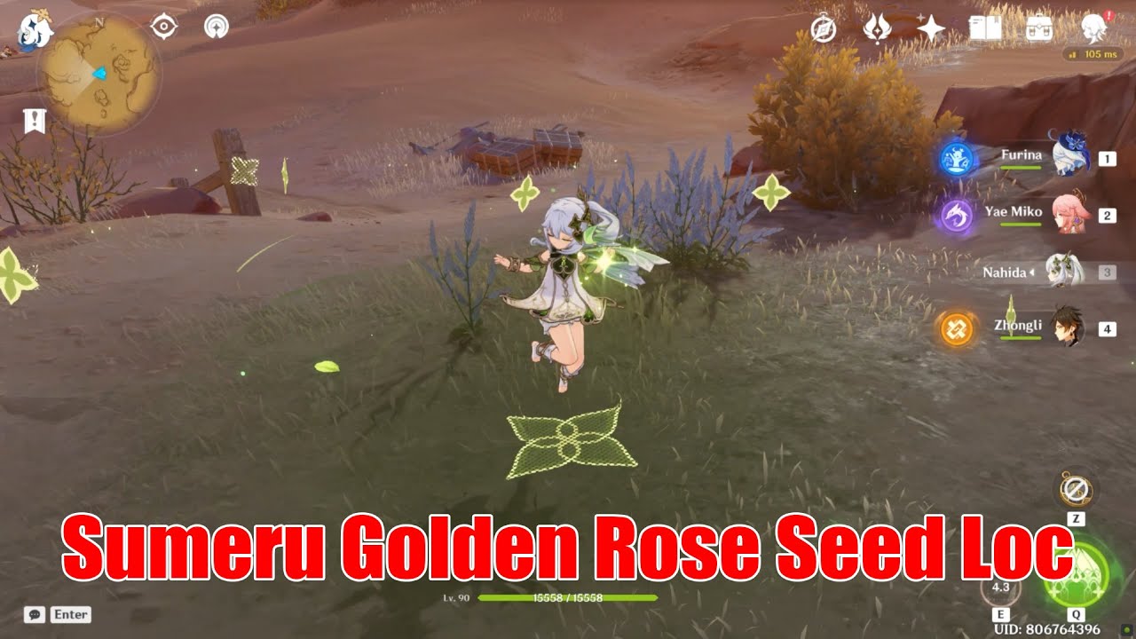 Sumeru Golden Rose Seed and Plant Location 