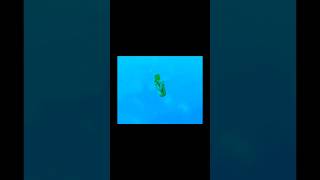 Akım Denedim Inşallah Tutmuştur Şfet Ş