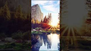 Relaxing Birdlife relaxingmusic stimulating concentrationmusic backgroundmusic dreamymusic