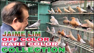 EP275 - P3 MGA IMPORTED LINE NA RARE AT OFF COLOR COLLECTION NI JAIME LIM