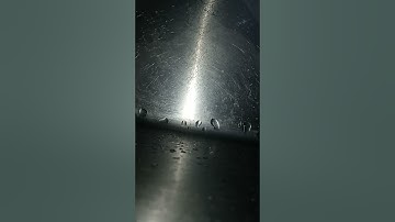 MOEN 1/2 H P GARBAGE DISPOSAL RESET IN. 1 MINUTES