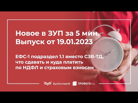 ЕФС-1 подраздел 1.1 вместо СЗВ-ТД, что сдавать и куда платить по НДФЛ и страховым взносам