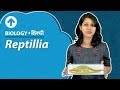 Reptillia | Hindi | Biology