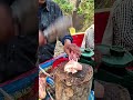 “Village Chicken Shopping Vlog | Desi Shop Ka Real Taste! 😍🍗”