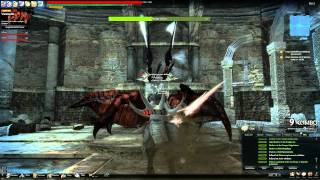 Vindictus - Raid Hidden 2 Players Run