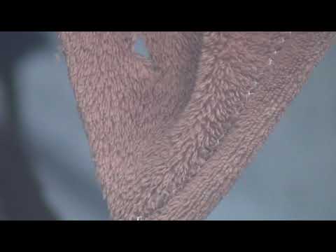 რა ურჩია თაკო ჩარკვიანმა მალხაზ მაჩალიკაშვილს კარავში ყოფნის დროს