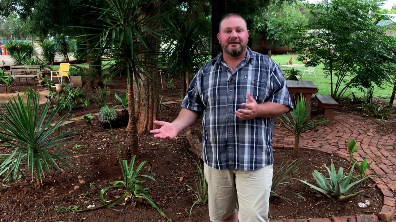 Moeggesukkel [Inspiration] Episode 1 - Die Voëltjie