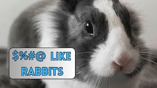 How Fast do Rabbits Reproduce?