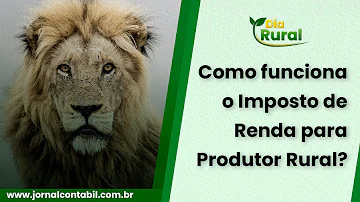 Como Fazer Declaração de imposto de renda produtor rural?