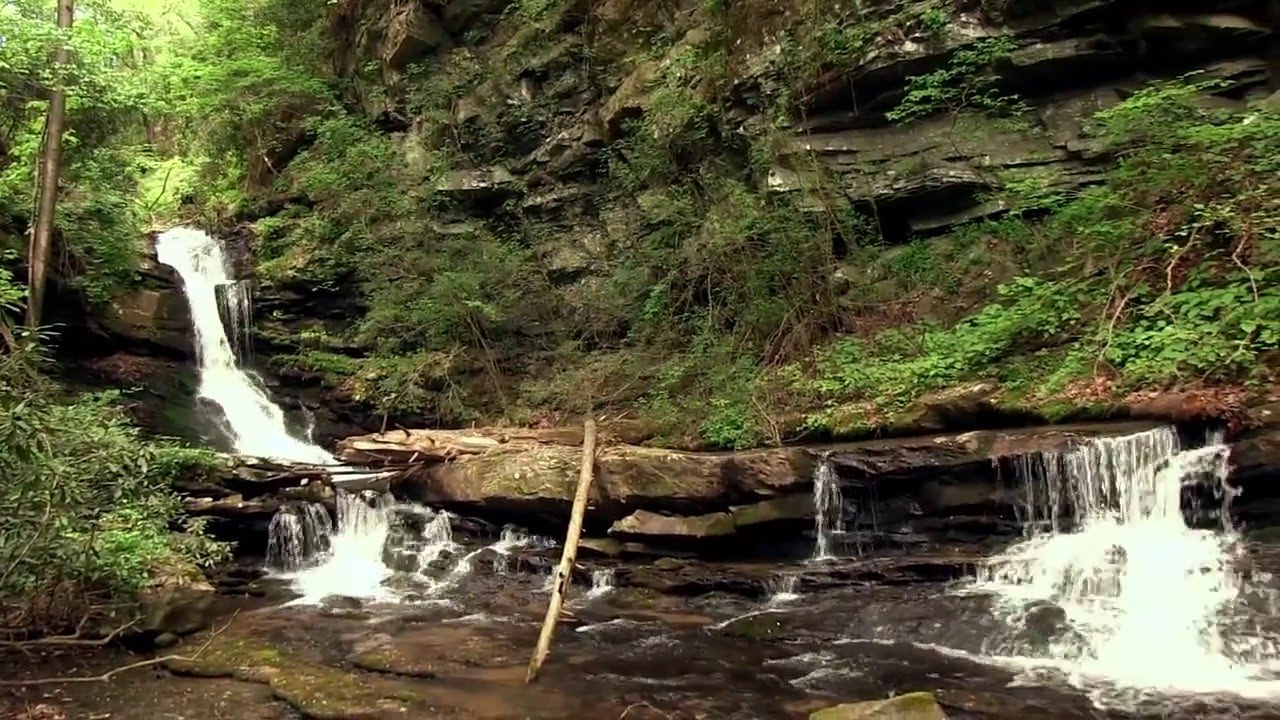 Preserving Hickory Nut Gorge