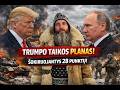 Trumpo planas pakeis karą? Visa tiesa apie 28 punktusJie apie tai tyli! Trumpo 28 taikos punktai