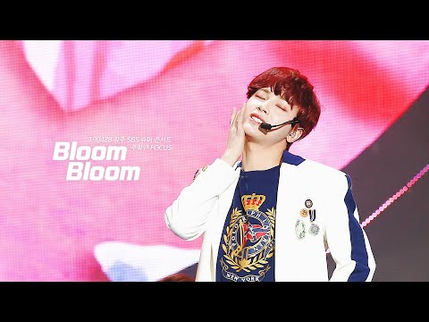 [4K] 190428 광주 SBS 슈퍼 콘서트 BloomBloom 더보이즈 주학년 FOCUS