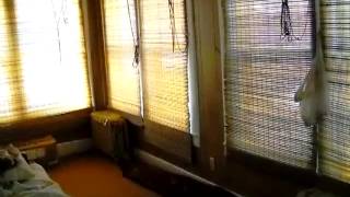150 Water Street video tour