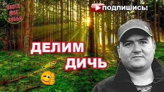 Как разделить добытую дичь? Этика на охоте.  Не ВСЁ стрелку!!!