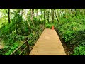 【4K】Walking to and thru Zama Yatoyama Park  in Zama, Kanagawa, Japan神奈川県立座間谷戸山公園